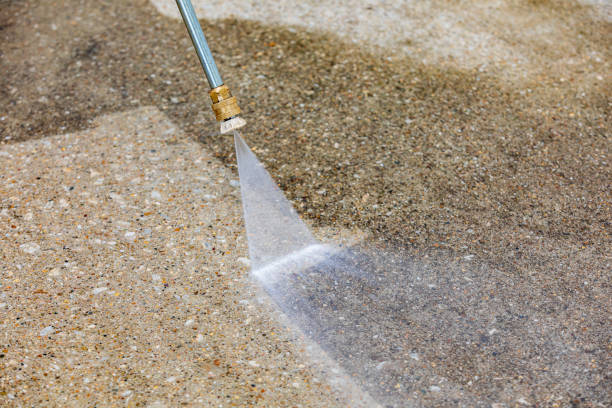 Professional Pressure Washing Services in Ray City, GA